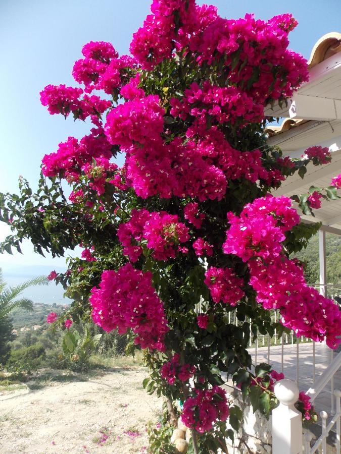 Villa Vasiliki View à Ágios Pétros Extérieur photo